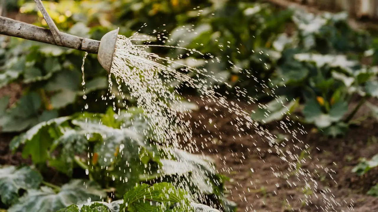 Gardening Tech Gadgets