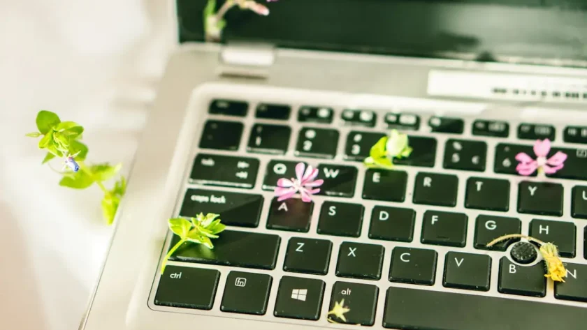 Eco-Friendly Electronics