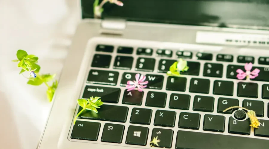 Eco-Friendly Electronics